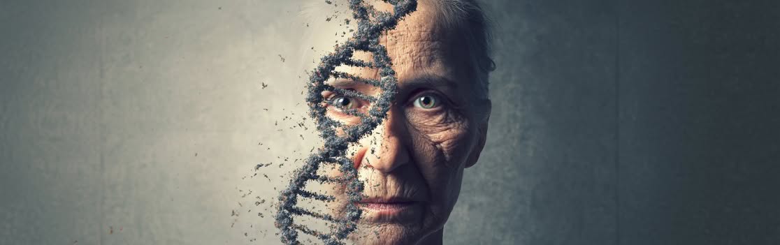 Aging DNA