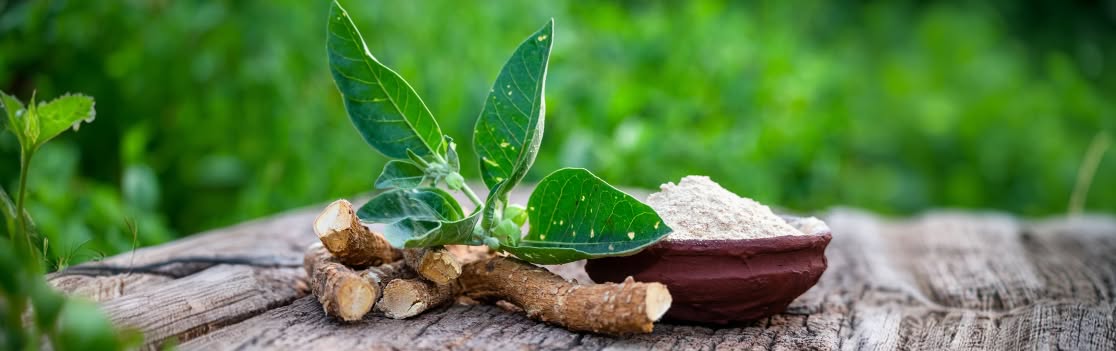 Ashwagandha