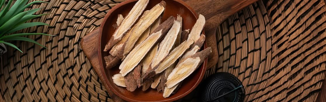 Astragalus